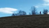 Randonnée Marche Chindrieux - SAPENAY / CLERGEON: COL DU SAPENAY - MONTCLERGEON PAR LE SENTIER DES VACHES (en live) - Photo 3