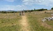 Tocht Stappen Fraissinet-de-Fourques - Nime le Vieux 10 km - Photo 2