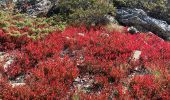 Tour  Saint-Lary-Soulan - Col Portet - Pichaley - Lacs de Bastian - Photo 10