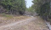 Tour Wandern Saint-Alban-d'Hurtières - Col Clampet, Le Grand Chat, Col d'alarmant  - Photo 9