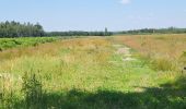 Trail Walking Assesse - Sart Bernard 010725 - Photo 6
