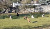 Tocht Stappen Jemeppe-sur-Sambre - 2019-01-19 Spy 24 km - Photo 2