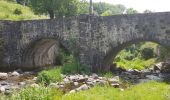 Tocht Stappen Nasbinals - Saint Jacques de Compostelle juin 2019 - Photo 17