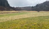 Tocht Stappen Monschau - Rando Eifel des jonquilles narcisses 18,3 - Photo 13