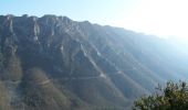 Excursión Senderismo Saou - Tour de la Forêt de Saoû - Photo 4