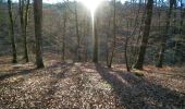 Tour Mountainbike Wirten - Bois de Virton II  -  Balade_VTT_19kms - Photo 19