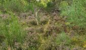 Randonnée Marche Maisse - Maisse - Forêt communale de Milly-la-Forêt - Photo 17