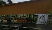 Trail Walking Golbey - Auchan  - Photo 4