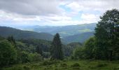 Excursión Senderismo Xonrupt-Longemer - 2024 RA Vosges J3 tour du schiessrothried - Photo 14