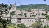 Trail Walking Montclus - montclus et bord de ceze - Photo 6