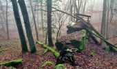 Tour Zu Fuß Kelkheim - Rund um den Rettershof: Weg 9 - Photo 4