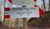 Trail On foot Bardi - Percorso 803 - Lavacchielli - Cerreto - Bre' - Pieve di Gravago - Brugnola - Monte Disperata - Photo 2