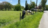 Trail Walking Daverdisse - Gembres 27,2 km - Photo 14