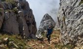 Tour Wandern Le Gua - Prelenfrey-Pas de loeille - Photo 9