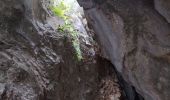 Tocht Stappen Le Revest-les-Eaux - Habitat préhistorique - Photo 8