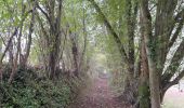 Trail Walking Neupré - Rotheux - Photo 2