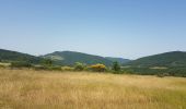 Excursión Cicloturismo Caudiès-de-Fenouillèdes - Caudiès-de-Fenouillères - Puivert - Photo 9