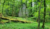 Tocht Stappen Les Planches-près-Arbois - la reculée des planches - Photo 1