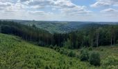 Tour Nordic Walking Bouillon - Bouillon et environ  - Photo 2