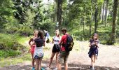 Tour Wandern Woll - Lac de Lispach - Photo 8