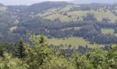 Tocht Stappen Montcel - BAUGES: TOUR DE LA FORET DOMANIALE DU GRAND REVARD - Photo 5