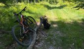 Percorso Mountainbike Ormoy-le-Davien - 130522 - Boucle VTT - Ormoy le davien en passant par le canal de l'Ourc - Photo 9