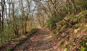 Excursión Senderismo Profondeville - Les Bois de Lustin  - Photo 2