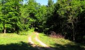 Randonnée Marche Trosly-Breuil - en forêt de Compiègne_28_les Tournantes sur le Mont Saint-Mard et sur le Mont Collet - Photo 16