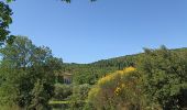 Trail Walking Nébian - randonnée à Nebian avec Jean et Monique - Photo 15