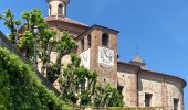 Trail Walking Barolo - Barolo Vergne Novello - Photo 2
