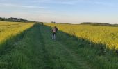 Tour Elektrofahrrad Grisy-les-Plâtres - Cormeille breancon  - Photo 1