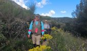 Excursión Senderismo Gémenos - la dent de fourcade - Photo 1