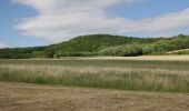 Tocht Te voet Hünfeld - Mackenzell Rundweg Nr. 9 - Photo 8