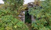 Tocht Stappen Saint-Jacques-des-Blats - Puy Griou - Photo 5