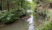 Tocht Noords wandelen Habscht - Grande boucle Clairfontaine - Photo 16