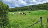 Trail Walking Rochefort - Avé & Auffe 230524 - Photo 2