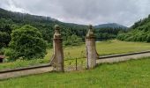 Trail Walking Girmont-Val-d'Ajol - herival - Photo 7