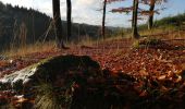 Tour Wandern Manhay - La longue chavée - Photo 2