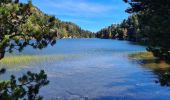 Randonnée Marche Font-Romeu-Odeillo-Via - col de la palme  - Photo 2