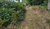 Trail Walking Unknown - Lavardin - Chemin de la roue des Carriers - Photo 15