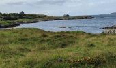 Tocht Stappen West Cork - Ardgroom -  Eyeries - Photo 20