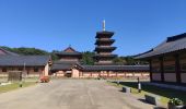 Tocht Stappen Unknown - Visite Baekje Cultural Land - Photo 9