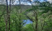 Excursión Senderismo Houffalize - lac de Nisramont  - Photo 5