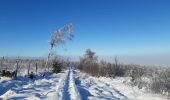 Trail Walking Waimes - botrange au dessus des nuages  - Photo 12