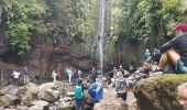 Tour Wandern Arco da Calheta - Levada do 25 fontes - Photo 4