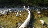 Tour Wandern Saint-Jean-d'Arvey - Remontée de la Leysse-2021-04-22 - Photo 7