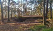 Tour Wandern Windstein - Rando Maginot Windstein - Photo 10