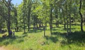 Trail Walking Belgentier - Pas de Belgentier  - Photo 8