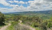 Tour Wandern Toulaud - Château de Crussol par Meyret - Photo 11