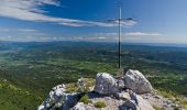 Excursión A pie Nova Gorica - 140 ~ Pot kurirjev in vezistov NOV Slovenije - Photo 8